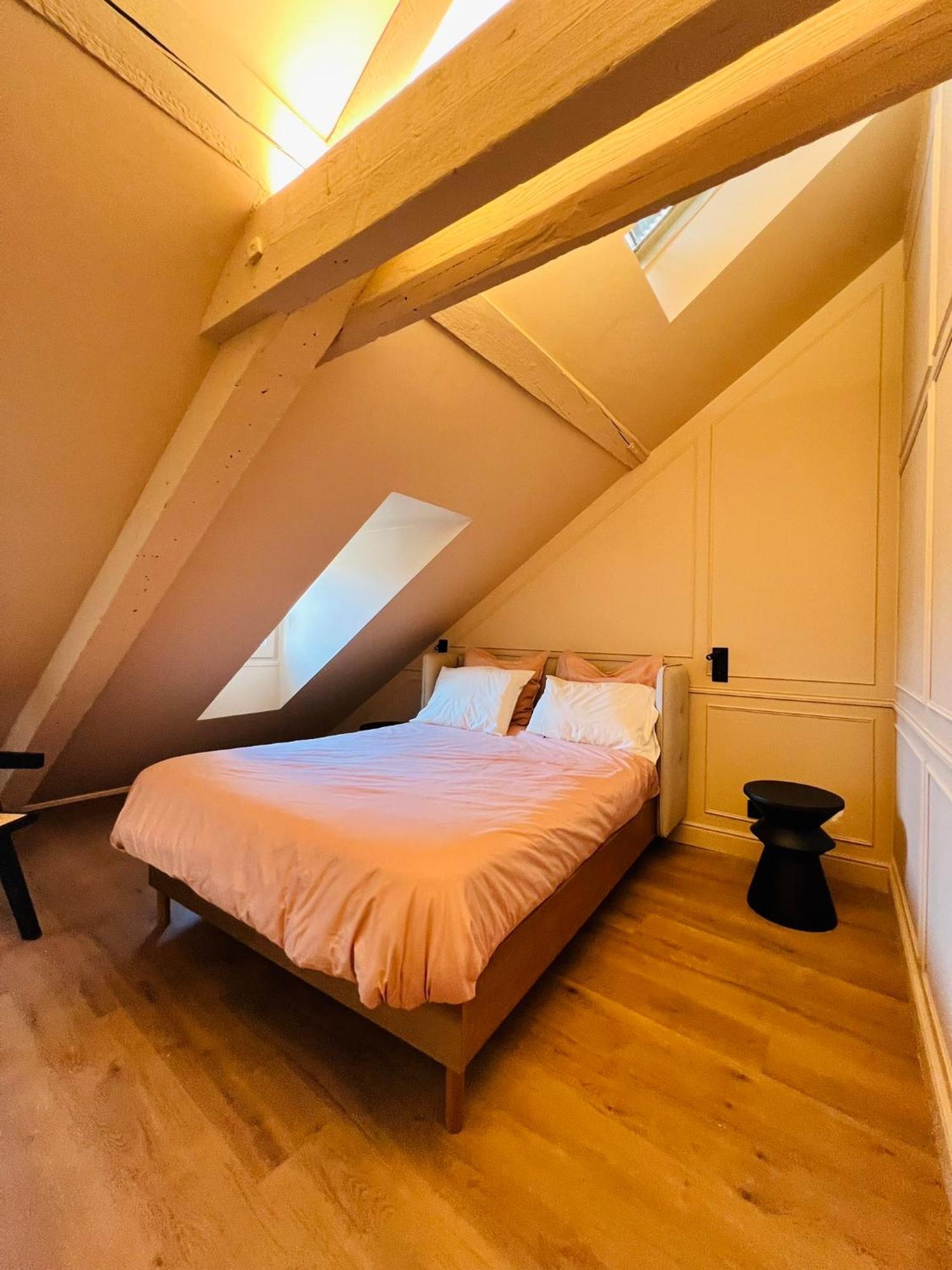 Chez Sandrine, Mon Appartement Elegant + Parking 斯特拉斯堡 外观 照片